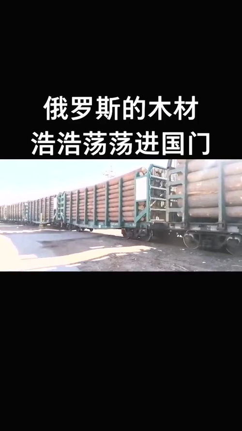 日用化工產品換木材 中俄換貨貿易的新篇章